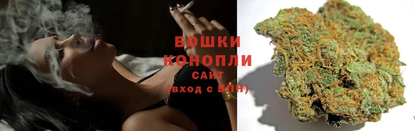 шишки Арсеньев