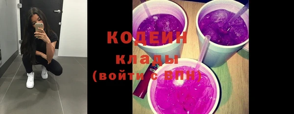 шишки Арсеньев
