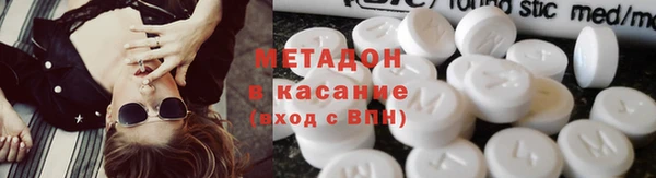 шишки Арсеньев