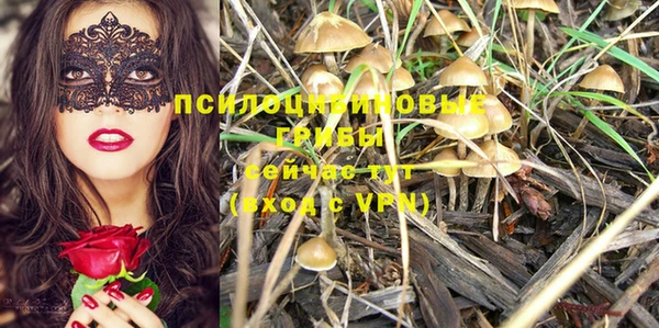 шишки Балабаново