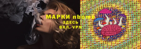 прущие грибы Балахна