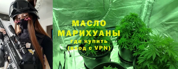шишки Арсеньев