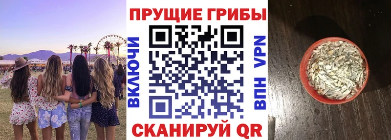Псилоцибиновые грибы Magic Shrooms  Волгоград 