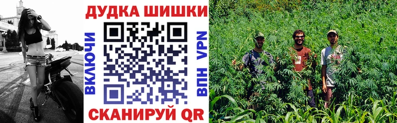 Шишки марихуана семена  Волгоград 